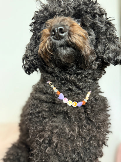 Gioielli per il tuo pet