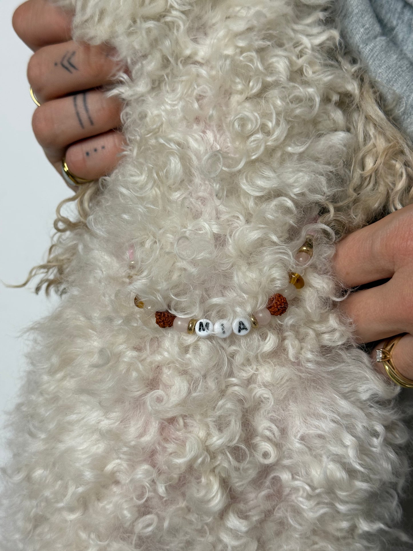 Gioielli per il tuo pet